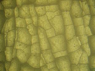 G:\�����_ 2011\���������_�� 800\���������\��������� ��������\Zr  10 �����\800 �.JPG