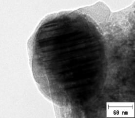 C:\Documents and Settings\Jibahat\������� ����\8bit\afterN076.JPG