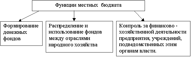 Функции местного бюджета