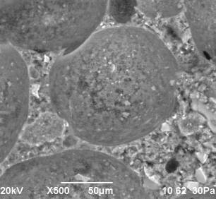 D:\������ ��� ��� )\���� �� 2014.07\2\���-2014\IX  ���� �������� ���� �� 482\rii - ix - 9.bmp