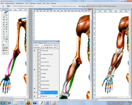 ��������: http://www.moluch.ru/conf/ped/archive/65/3072/images/676d36dd.png