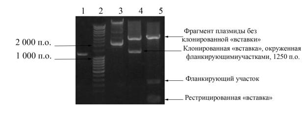 H:\����������-1\2014- ����� ����\������� 1.jpg