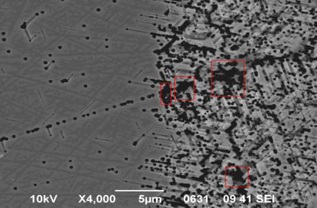 ����������