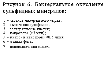 �������: ������� 6. ������������� ��������� ���������� ���������: 

1 � ������� ������������ �����; 
2 � ��������� ���������; 
3 � ������������� ������; 
4 � ��������� (>3 ���); 
5 � �����- � �������� (<0,5 ���); 
6 � ������ ����; 
7 � ������������� ������
