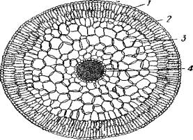 ��������� ��������