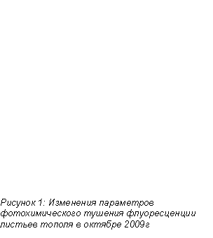 :   2:          2009