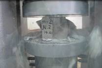 ������ 8