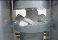 ������ 7