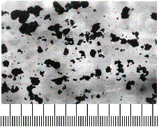 �������������� 6