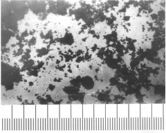 �������������� 5