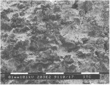 ��������������222