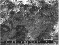 �������������� 111