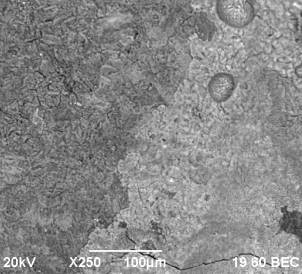 C:\Users\����\Desktop\���-2014\4 �� ��� 1-1\rii - 4 - 3.bmp