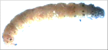 ��������: D:\���������\CIMG6314.JPG