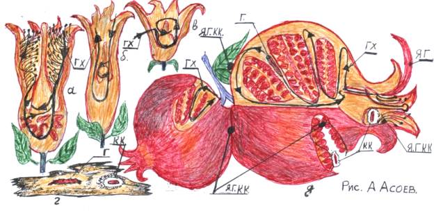 ��������: C:\Documents and Settings\User\��� ���������\��� �������\�����������\����������� 060.jpg