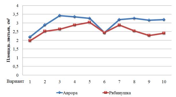 ��������: ��������: ����4