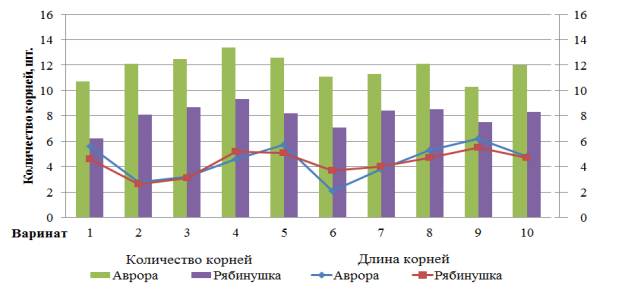 ��������: ��������: ����������