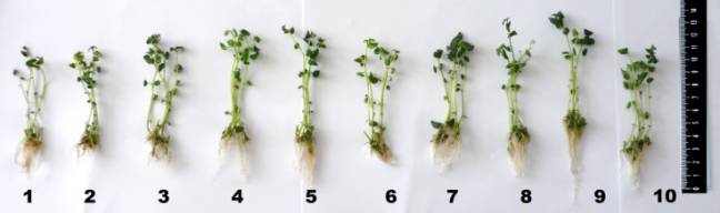 ��������: ��������: ��������: ��������: C:\Users\������ ���������\Pictures\������ ������ ��������.JPG