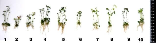 ��������: ��������: ��������: ��������: C:\Users\������ ���������\Pictures\��������� ������ ��������.JPG