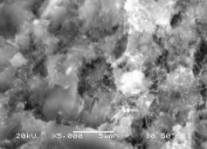 5000 �����