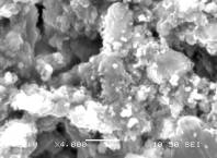 4000 ������