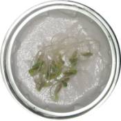 C:\Documents and Settings\Admin\������� ����\����.jpg