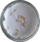 C:\Documents and Settings\Admin\������� ����\�-�.jpg