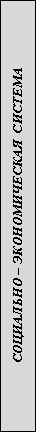 Подпись: СОЦИАЛЬНО – ЭКОНОМИЧЕСКАЯ СИСТЕМА