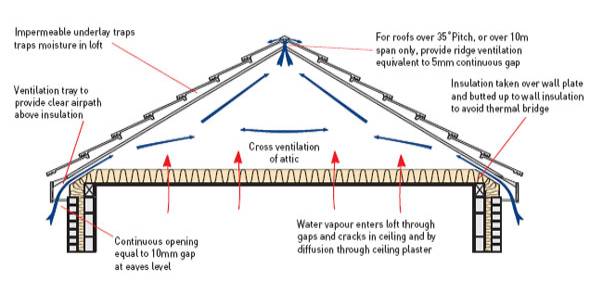 http://roof-truss-design.com/wp-content/uploads/2011/06/pitched-roof-joists-1.jpg