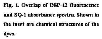 Text Box: Fig. 1. Overlap of DSP-12 fluorescence and SQ-1 absorbance spectra. Shown in the inset are chemical structures of the dyes. 