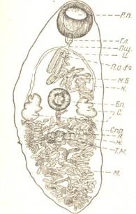 ����������� 002