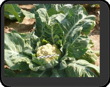 F:\фото от 06.08.12 г\P1340945.JPG