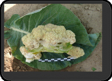 F:\фото от 06.08.12 г\P1340959.JPG