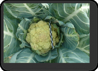 F:\���� �� 06.08.12 �\P1340952.JPG