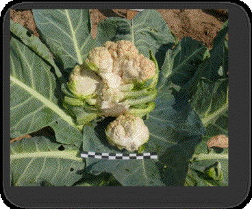 F:\фото от 06.08.12 г\P1340975.JPG