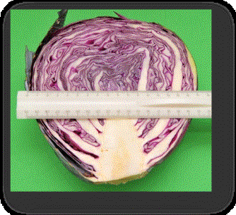 ���������� ���������������-2 �����.jpg