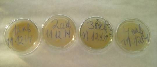 C:\Users\�����\Desktop\���������\���� ����\� ��������\CAM02478.jpg