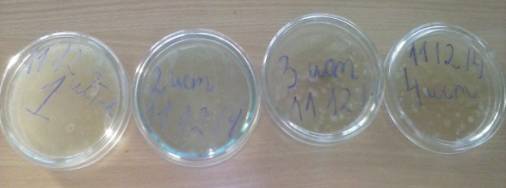 C:\Users\�����\Desktop\� ���������\CAM02472.jpg