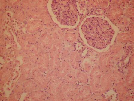 ����� �� �200 �������� ������ �������� ������� ���������