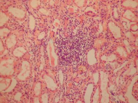 ����� �� �200 �������� ������������������� ������������ ����