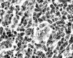 �������-��������-2