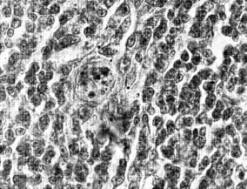 1-�������-��������6