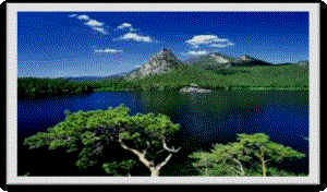 Description: �қ������