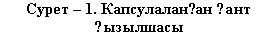 �������: ����� � 1. ����������ғ�� қ��� қ��������