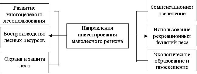 Направления инвестирования малолесного региона