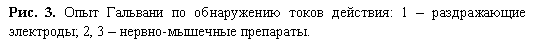 �������: ���. 3. ���� �������� �� ����������� ����� ��������: 1 � ������������ ���������; 2, 3 � ������-�������� ���������.