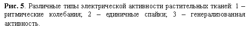 �������: ���. 5. ��������� ���� ������������� ���������� ������������ ������: 1 � ����������� ���������; 2 � ��������� ������; 3 � ���������������� ����������.