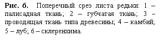 �������: ���. 6.  ���������� ���� ����� ������: 1 � ���������� �����; 2 � �������� �����; 3 � ���������� ����� ���� ���������; 4 � ������; 5 � ���; 6 � �����������.