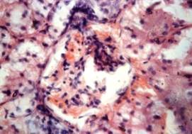 Описание: DSC05742