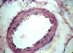 Описание: DSC05753